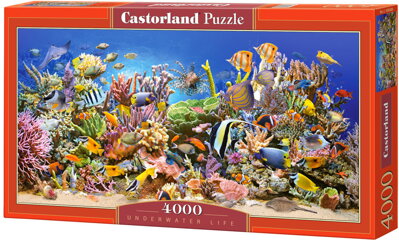 Castorland puzzle 4000 dielov - Podmorský svet